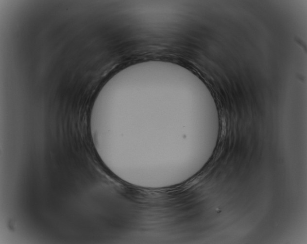 X0000096650618200802050935