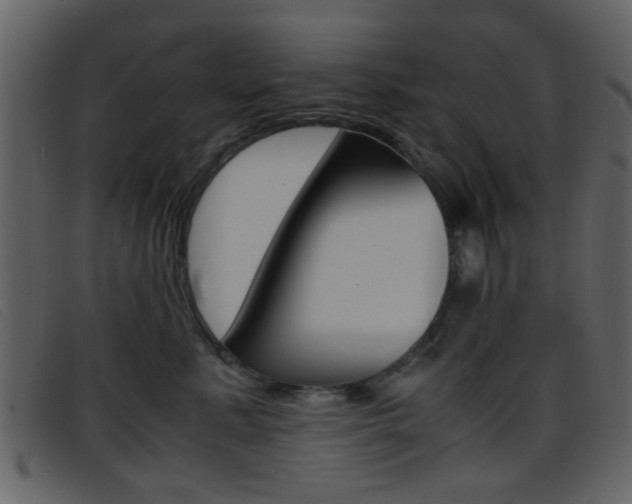 X0000096650619200802050935
