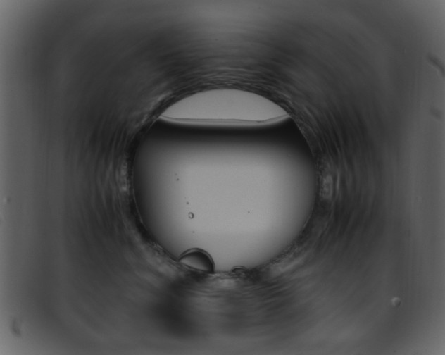 X0000096650620200802050935