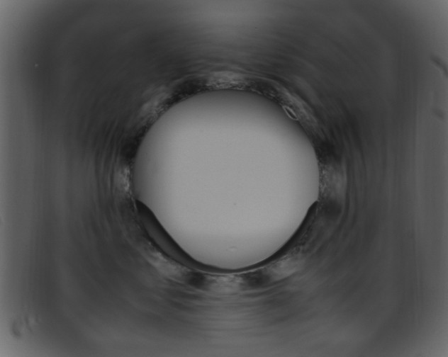 X0000096650621200802050935