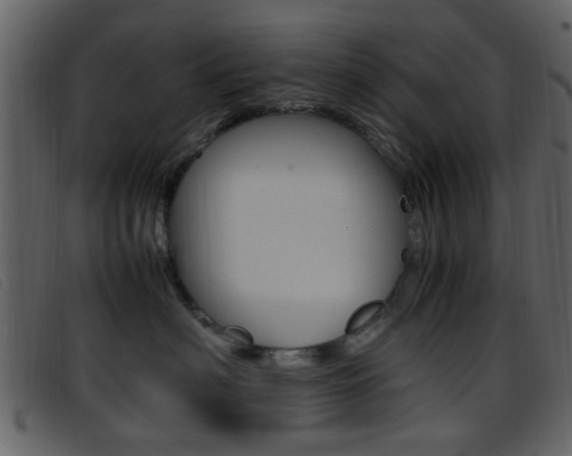 X0000096650622200802050935
