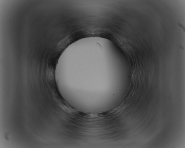 X0000096650623200802050935