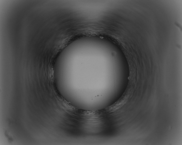 X0000096650624200802050935