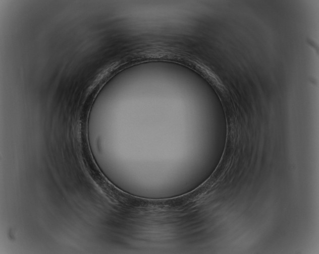 X0000096650626200802050934