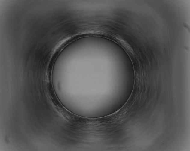 X0000096650628200802050934
