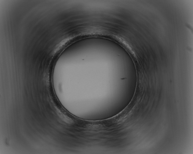 X0000096650629200802050934