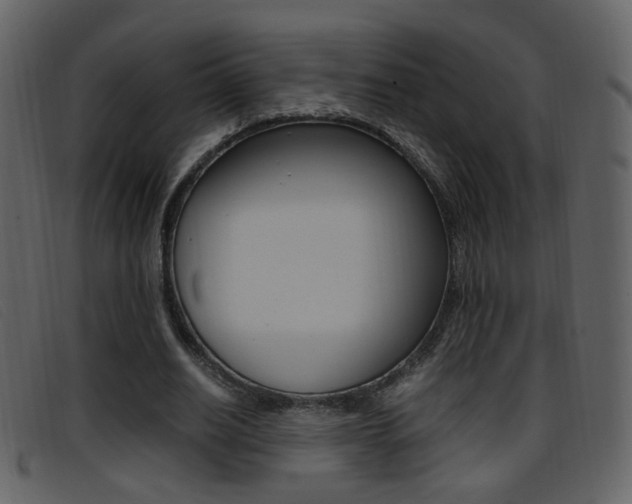 X0000096650630200802050934