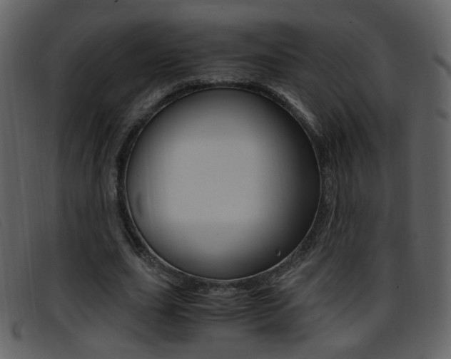 X0000096650631200802050934