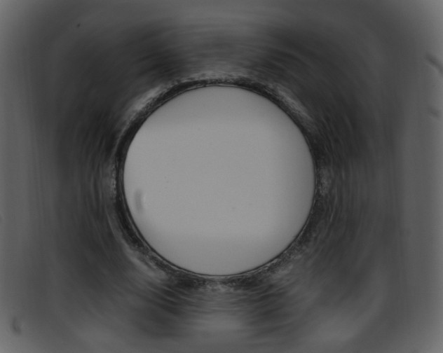 X0000096650632200802050934