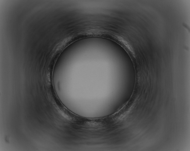 X0000096650633200802050935