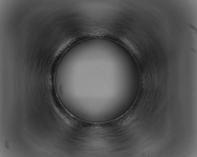 X0000096650634200802050935
