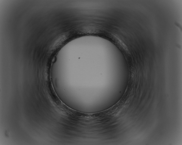 X0000096650635200802050935