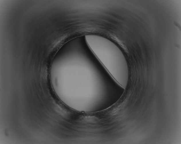 X0000096650637200802050935