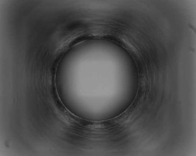 X0000096650639200802050935