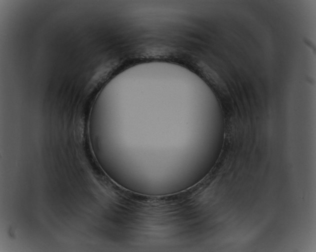 X0000096650640200802050935