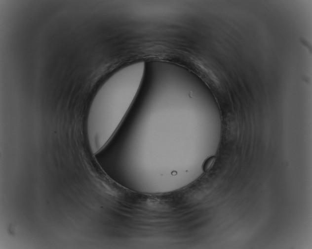 X0000096650641200802050935