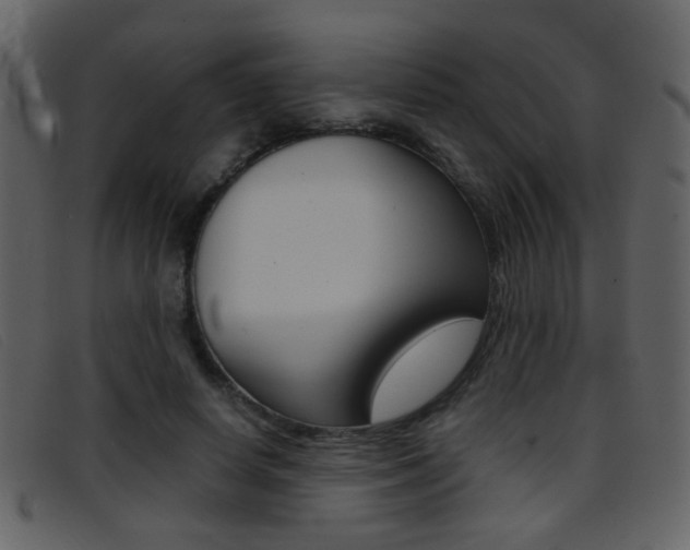 X0000096650642200802050935