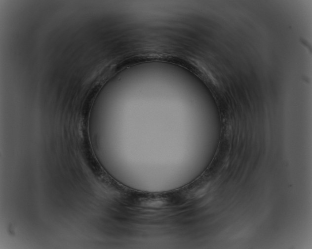 X0000096650643200802050935