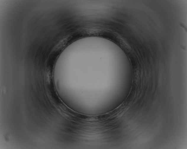 X0000096650644200802050935