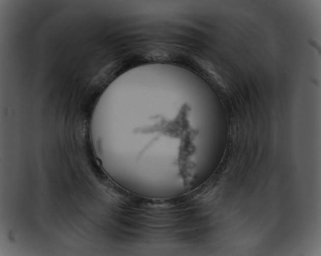 X0000096650645200802050935