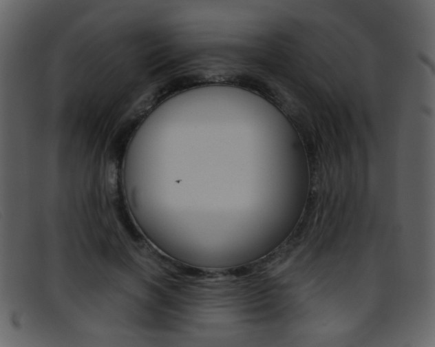 X0000096650646200802050935