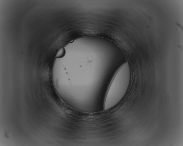 X0000096650647200802050935