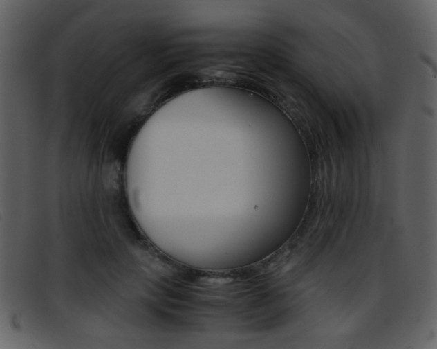 X0000096650649200802050935
