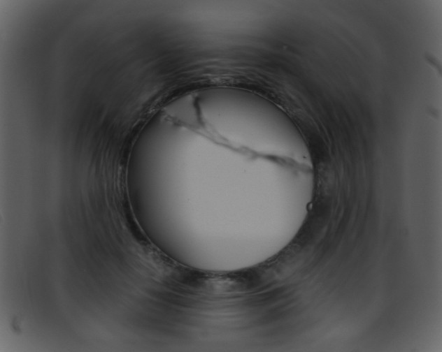 X0000096650650200802050935