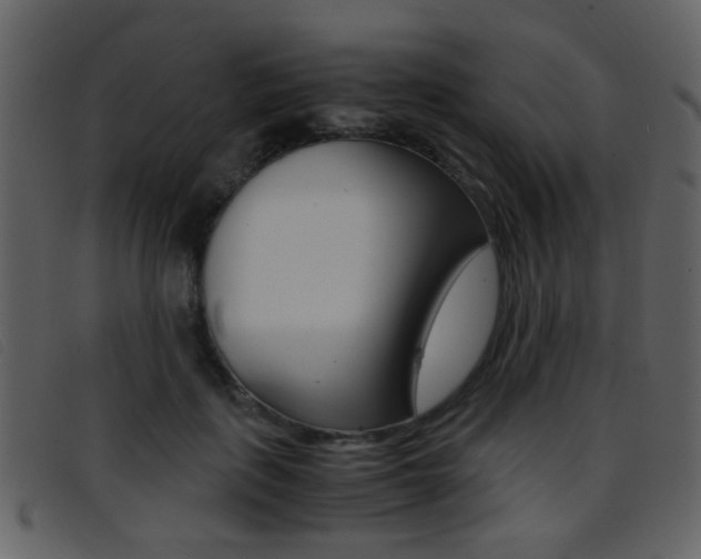 X0000096650651200802050935