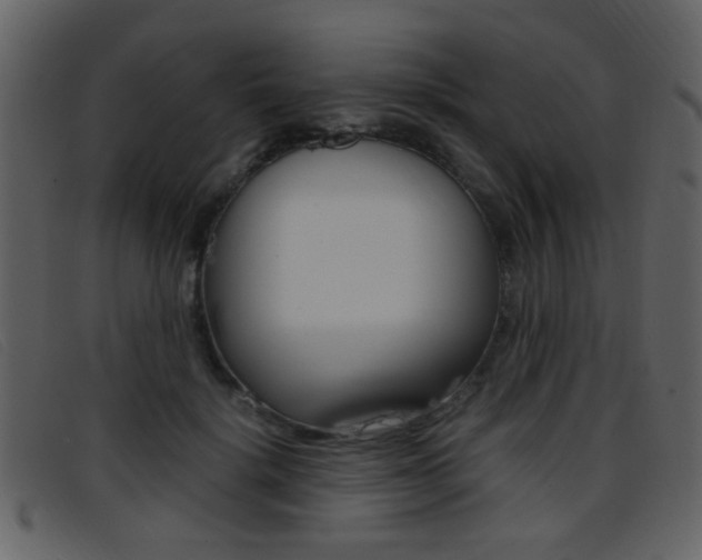 X0000096650652200802050935