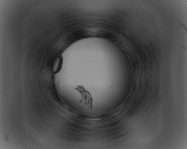 X0000096650653200802050935