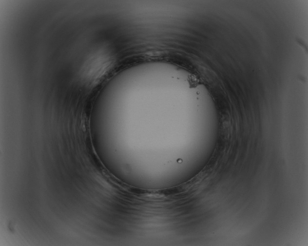 X0000096650654200802050935