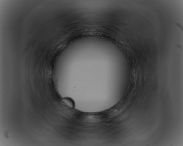 X0000096650657200802050935