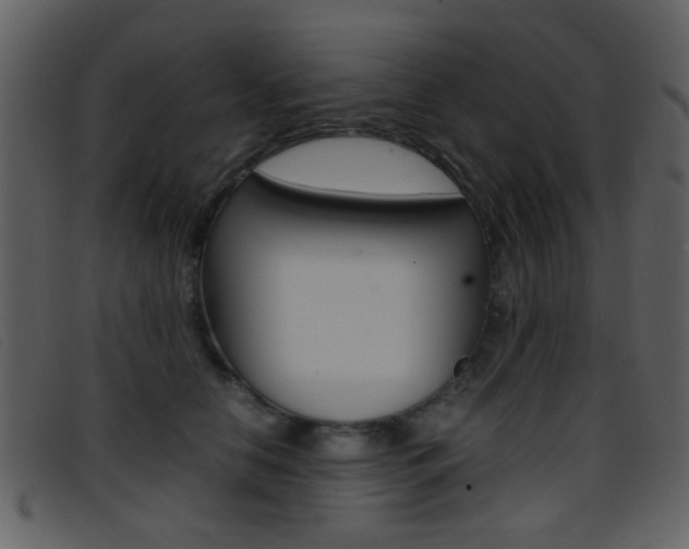 X0000096650658200802050935
