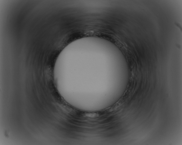 X0000096650659200802050935