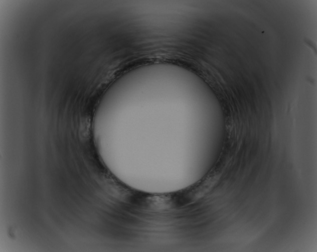 X0000096650660200802050935