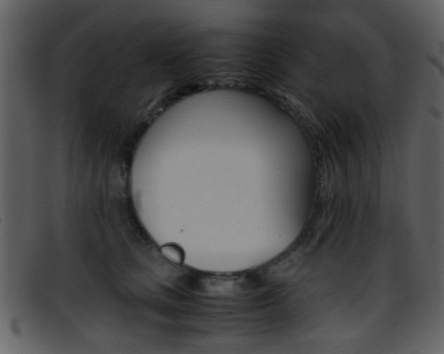 X0000096650661200802050935