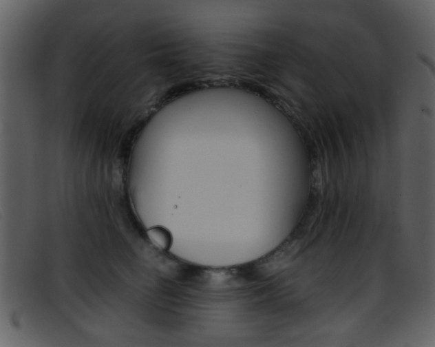 X0000096650662200802050935