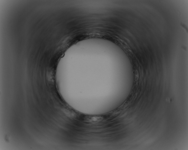 X0000096650663200802050935