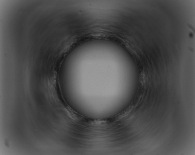 X0000096650664200802050935