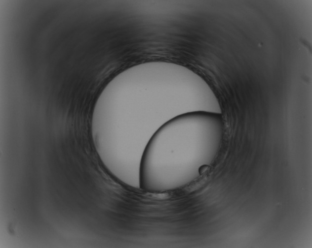 X0000096650665200802050935