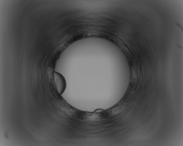 X0000096650667200802050935