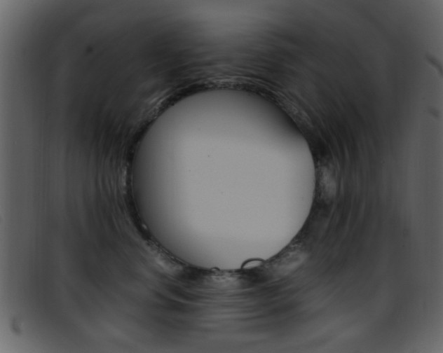 X0000096650668200802050935