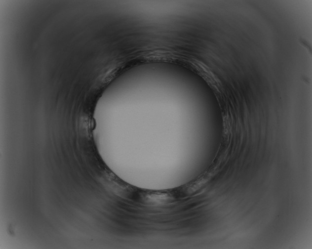 X0000096650669200802050935