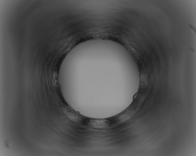 X0000096650671200802050935