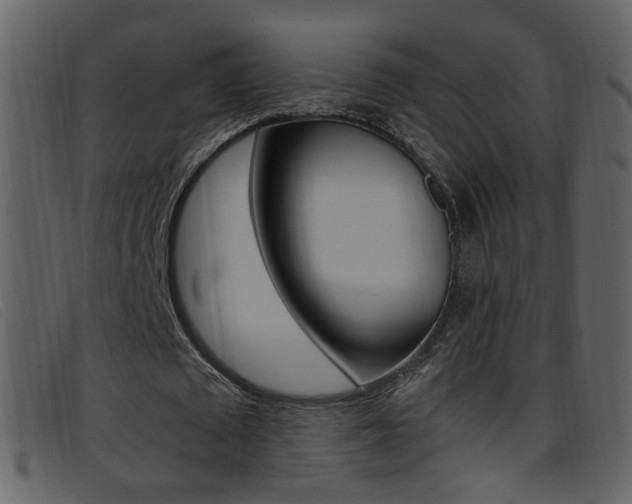 X0000096650673200802050934