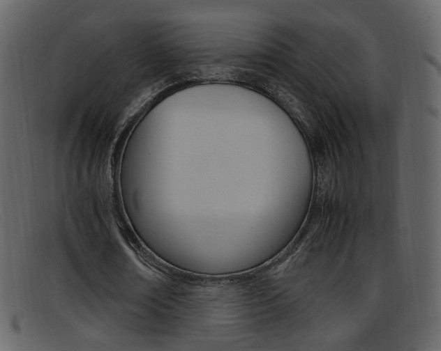 X0000096650674200802050934
