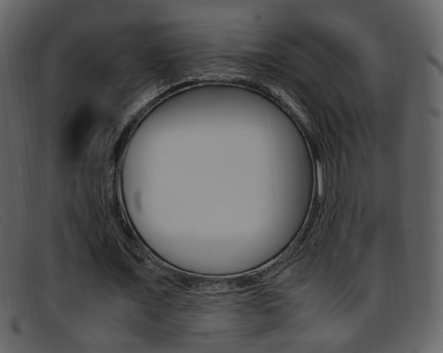 X0000096650675200802050934