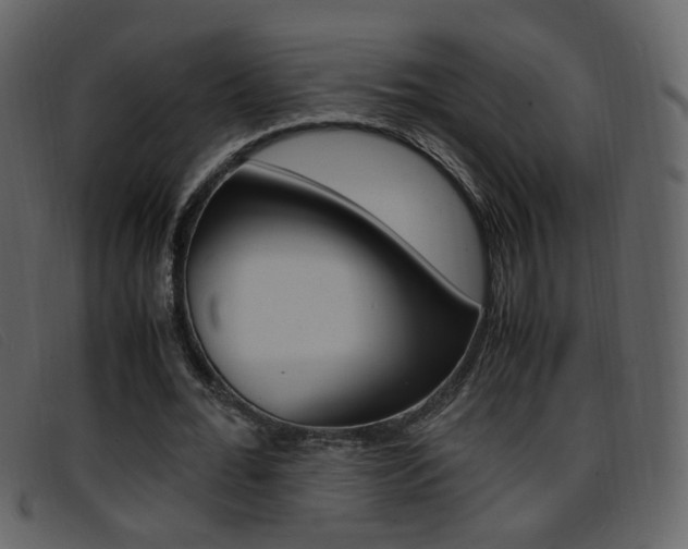 X0000096650676200802050934