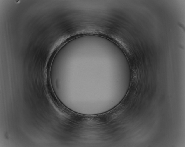 X0000096650678200802050934